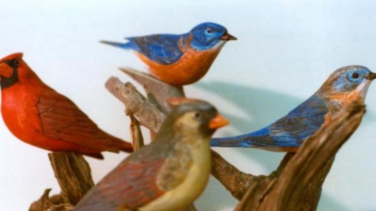 Wood carving by Ora Anderson: male and female bluebirds and cardinals. Athens, Ohio, 1977