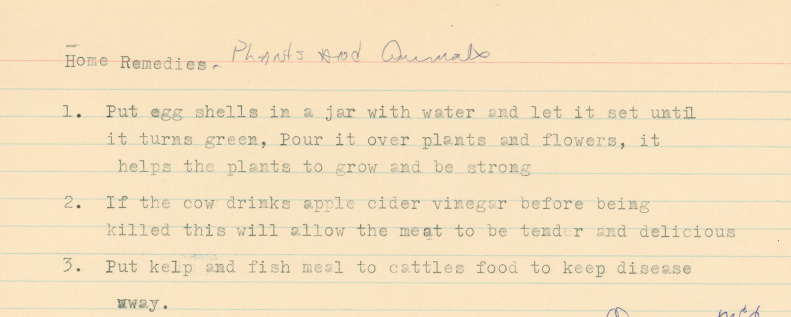 Genre Card of Home Remedies for Plants and Animals. Reads: 1) Put egg shells in a jar with water and let it set until it turns green, Pour it over plants and flowers, it helps the plants to grow and be strong 2) If the cow drinks apple cider vinegar before being killed this will allow the meat to be tender and delicious 3) Put keep and fish meal to cattle food to keep disease away