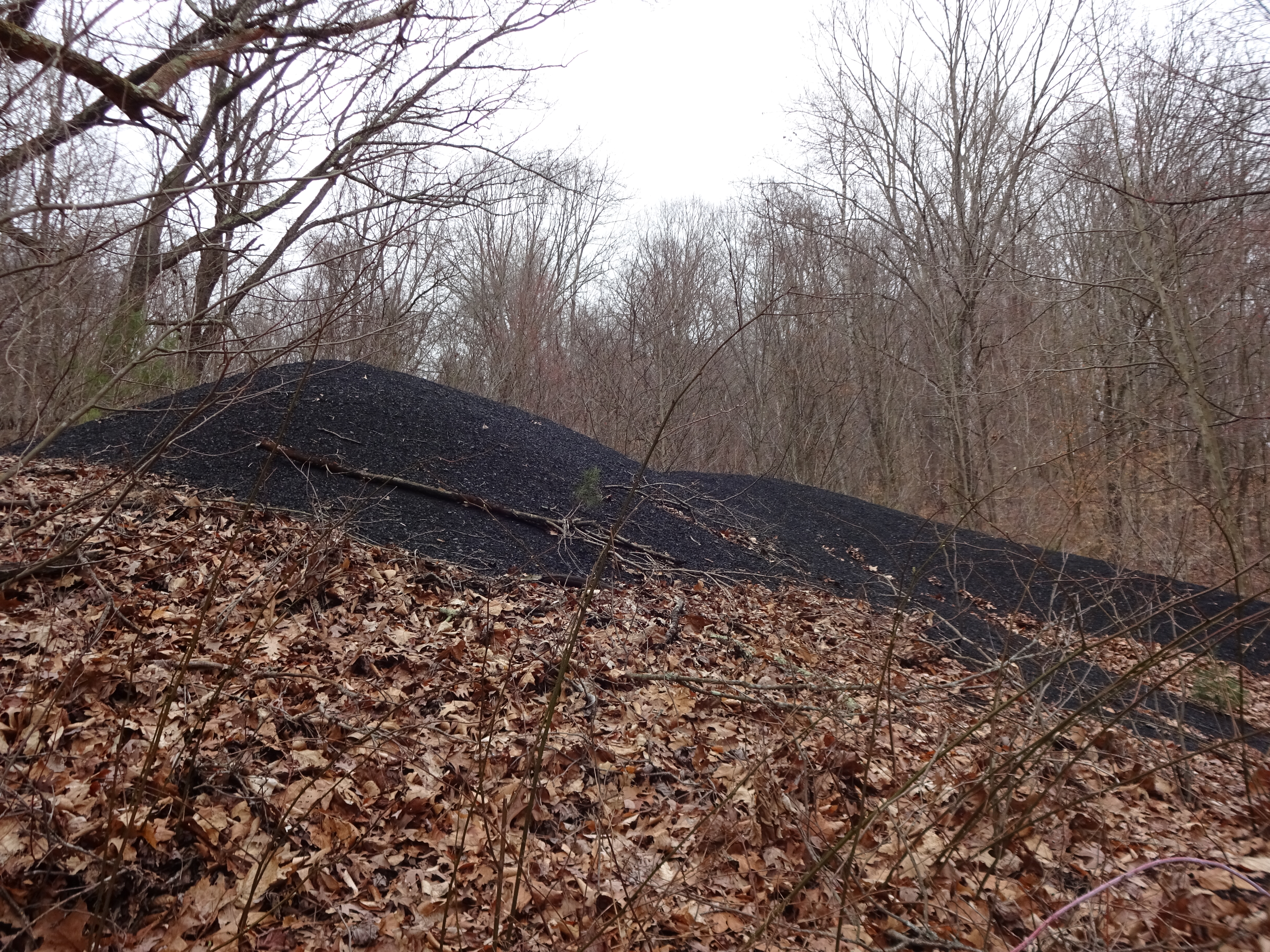 A bench in a secluded area off the Tecumseh Lake Loop Trail. 