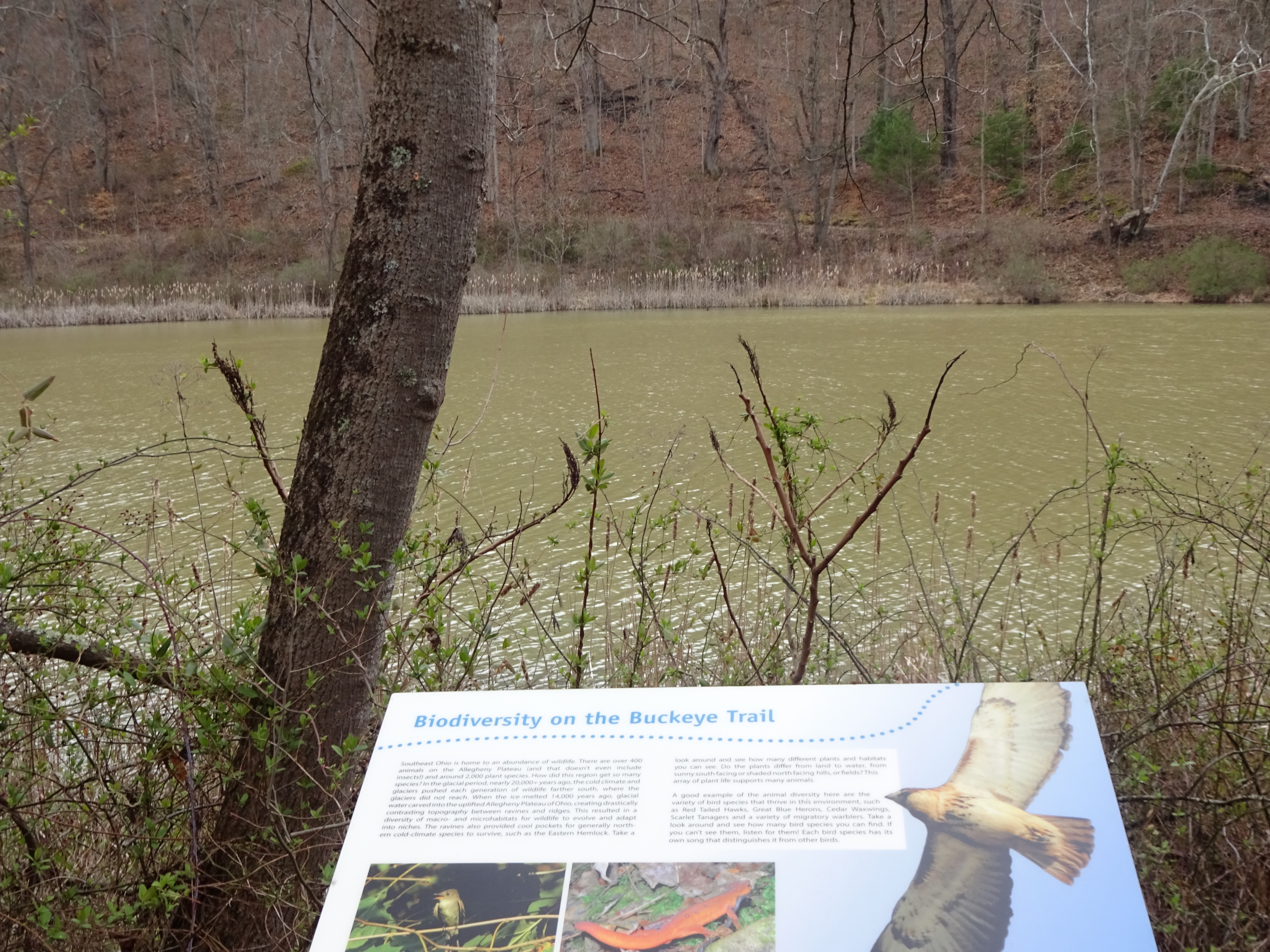 A plaque on trail about biodiversity