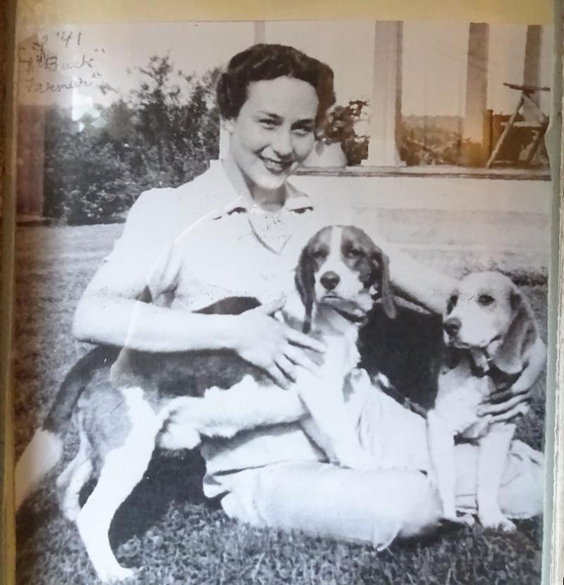 Zelma Lapp with beagles.