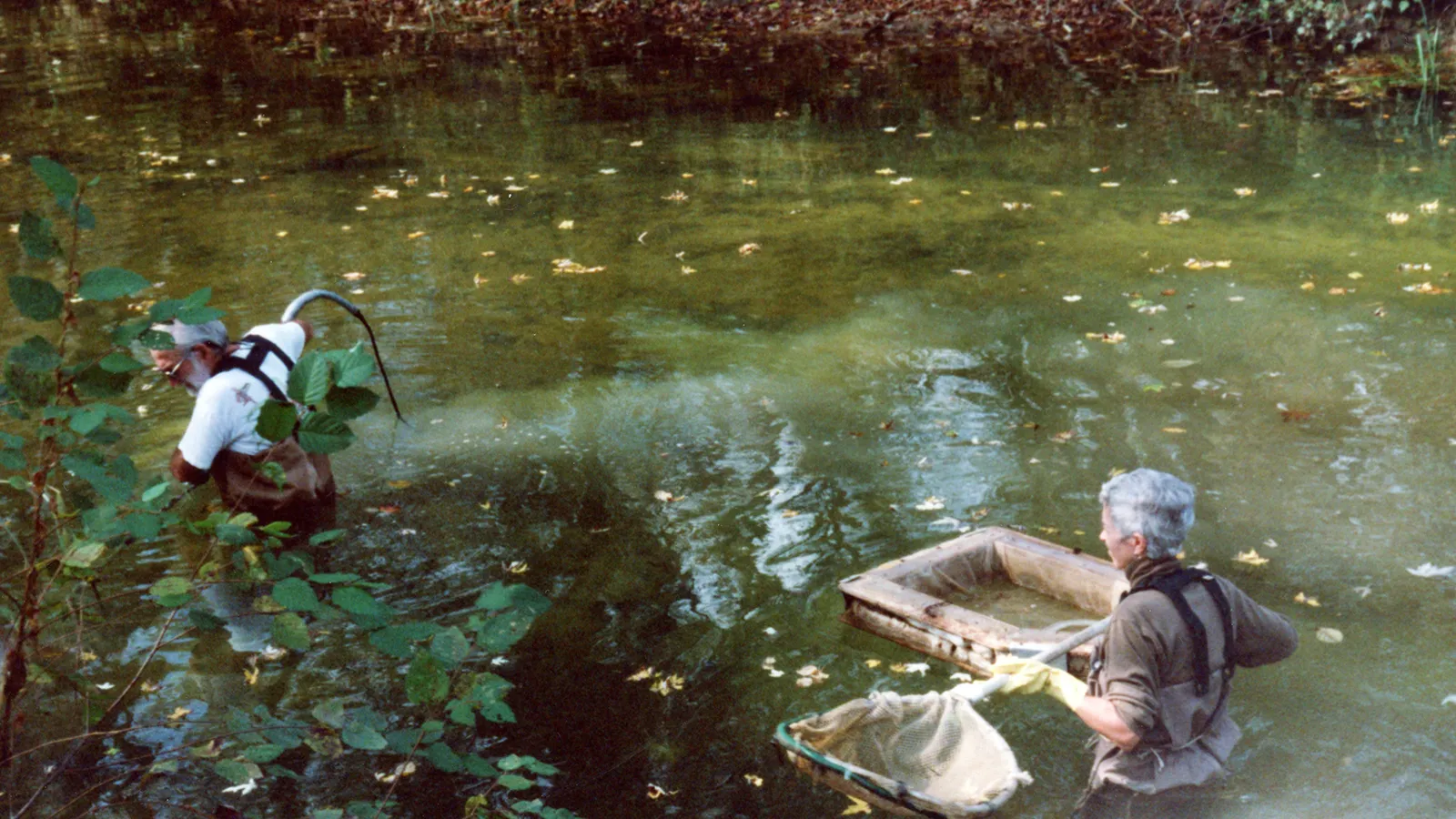 Jim Grow (left; of the Ohio EPA) and Linda Hilbert (right) electroshocking in Monday Creek