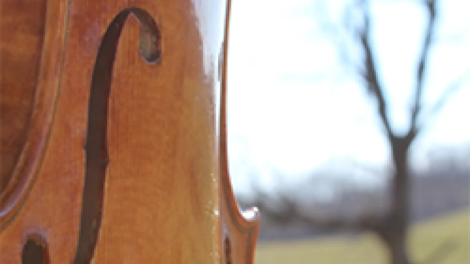 close-up of the side of a violin with a green hill and tree in the background