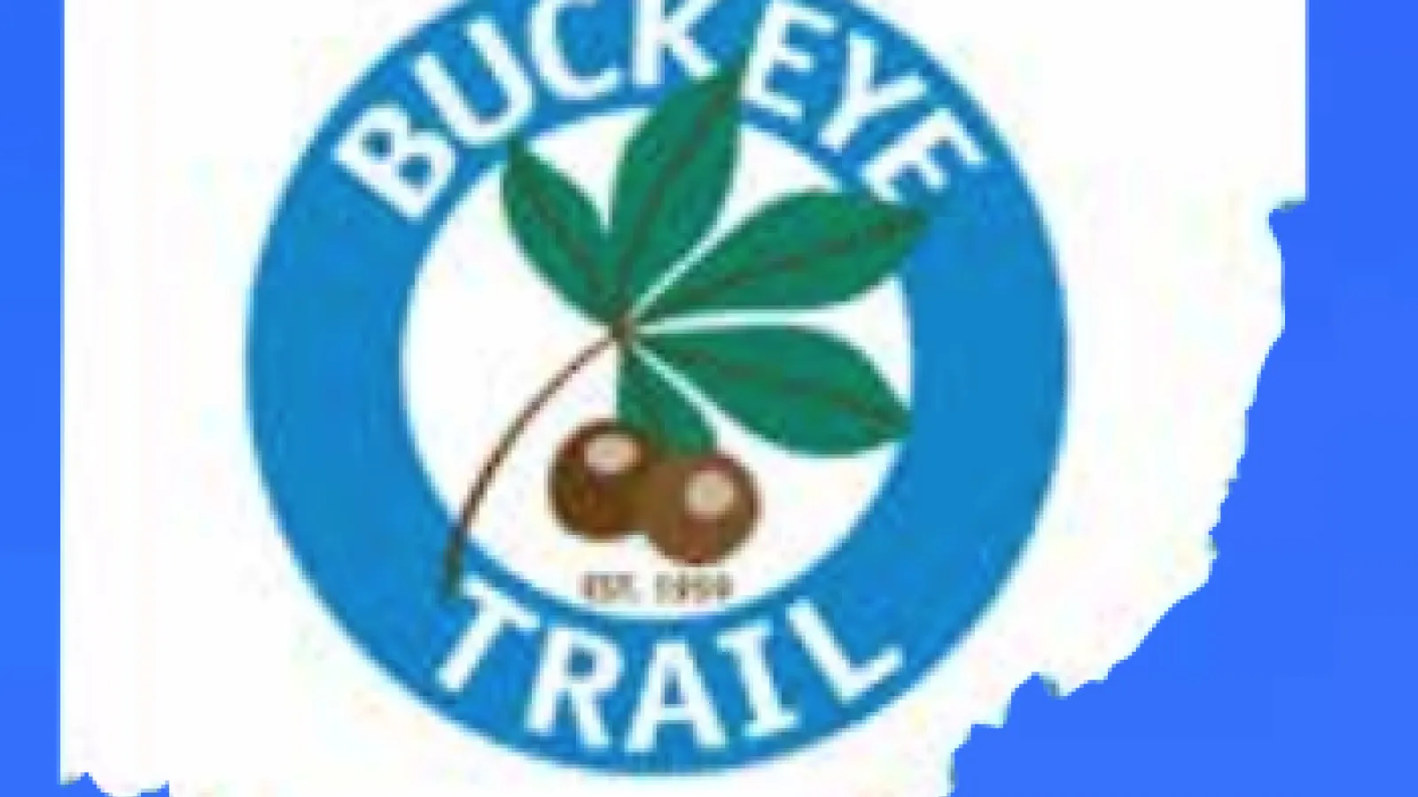 BTA Logo
