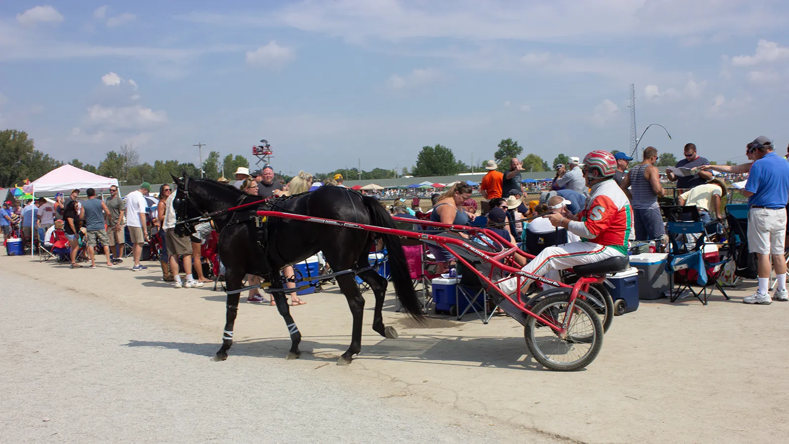 Unlike other racetrack setups, fans can get close to the horses and drivers.