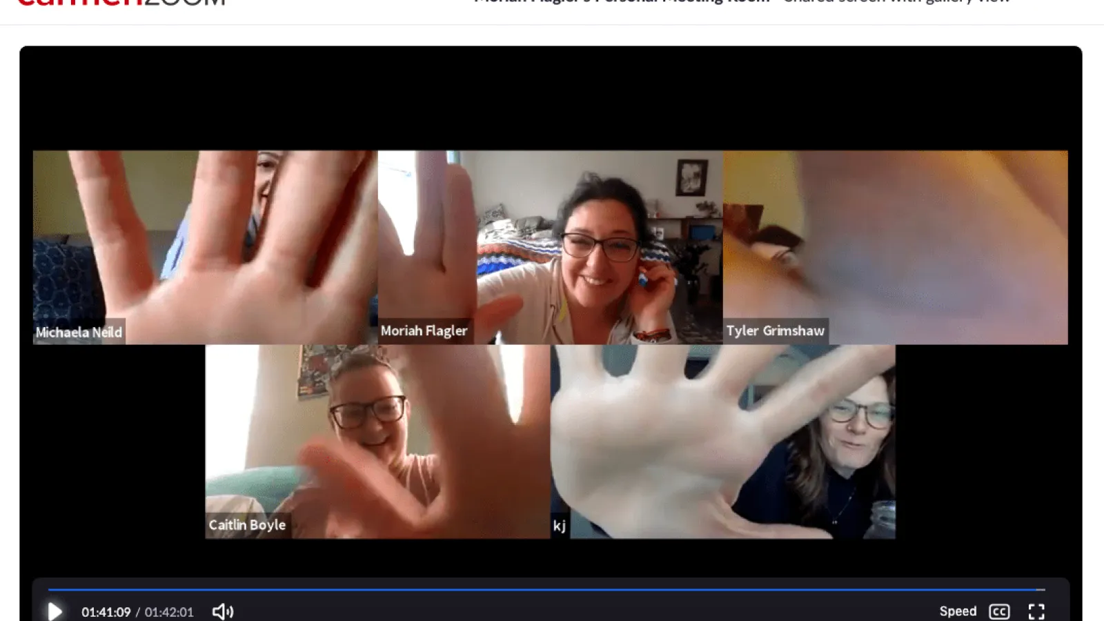 People putting their hands up to their zoom cameras