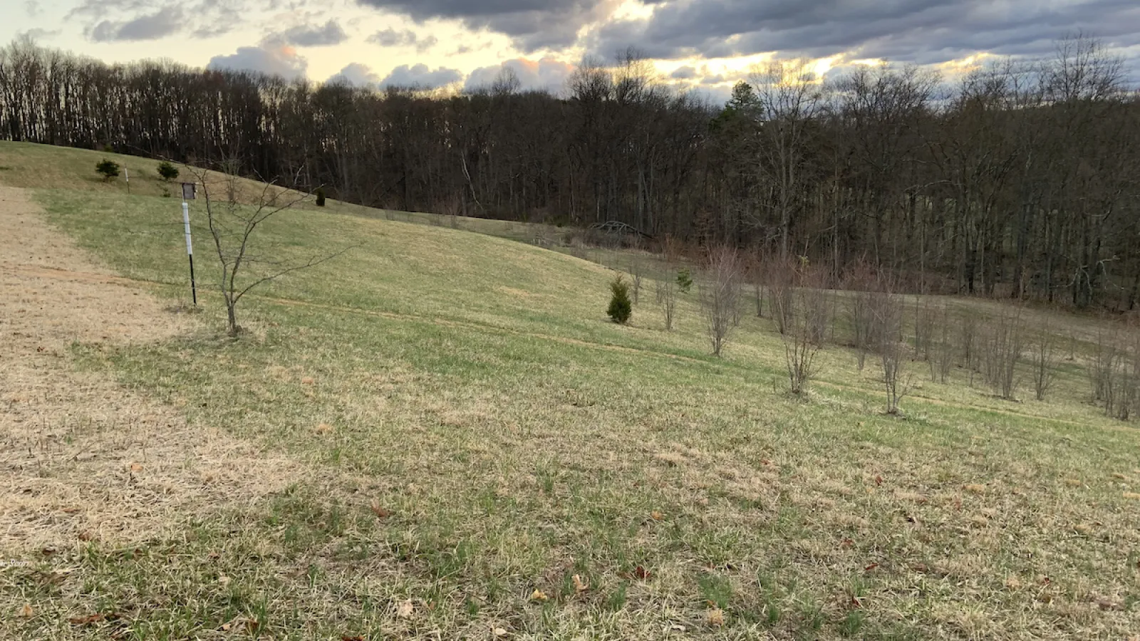 A stormy image of the hills present on Valerie Scott's property in Hocking County