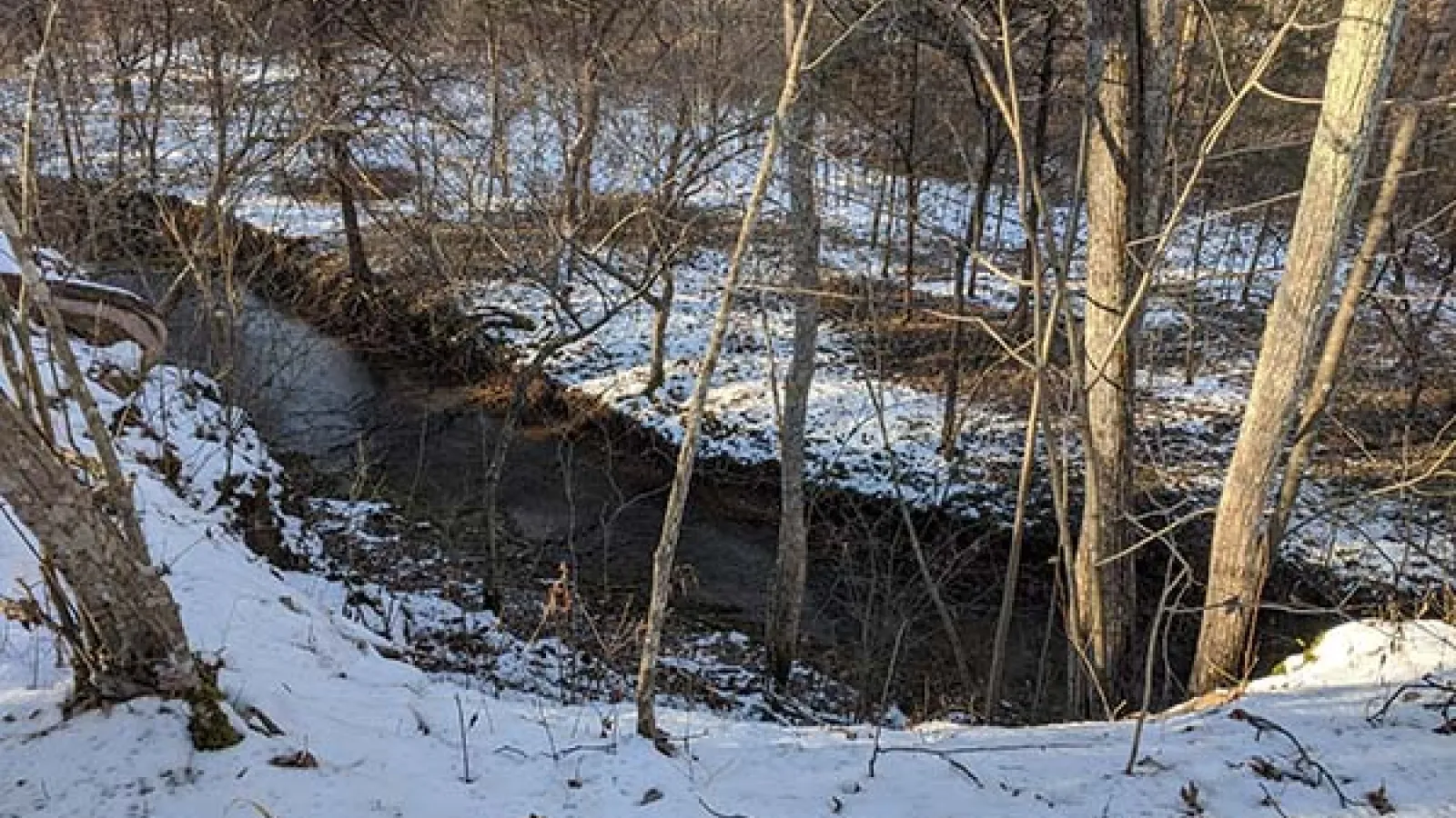Chalet Nivalle Nature Preserve, stream bank in winter