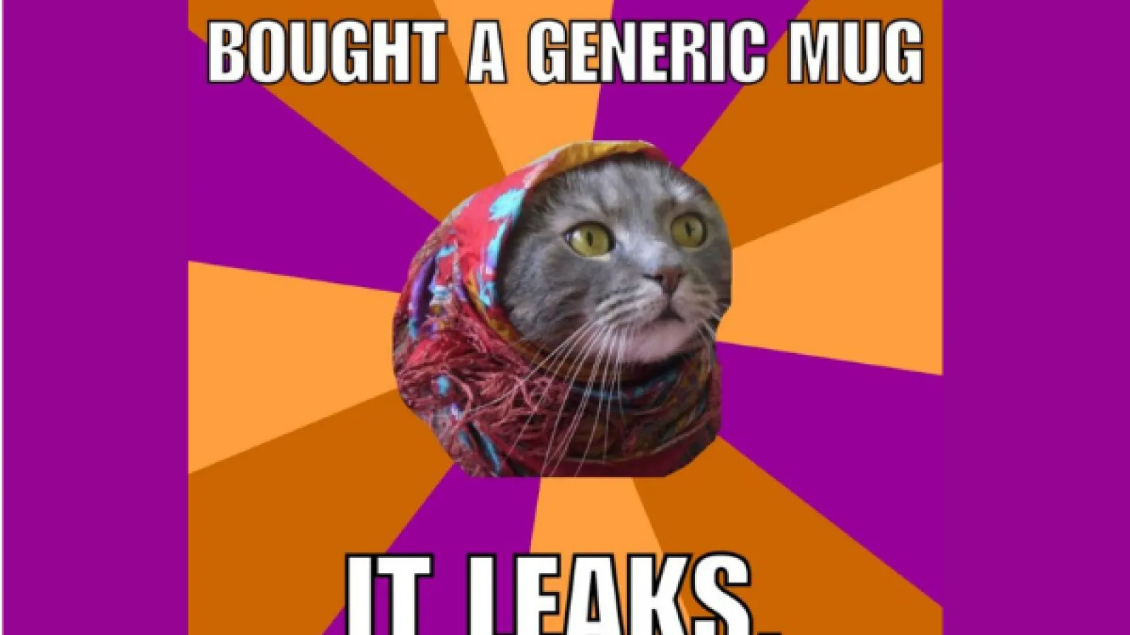 Cat Meme: bought a generic mug, it leaks