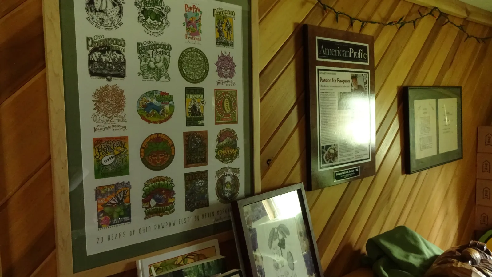 Wood paneled wall with framed postcards