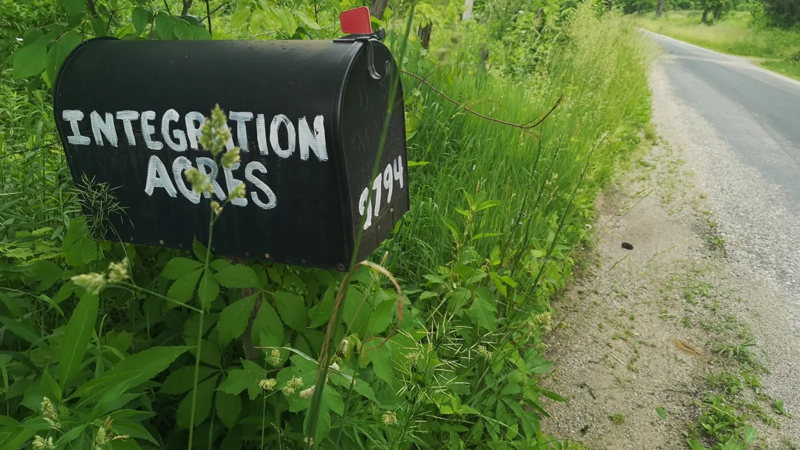 Black and white traditional mailbox that says "integration acres"