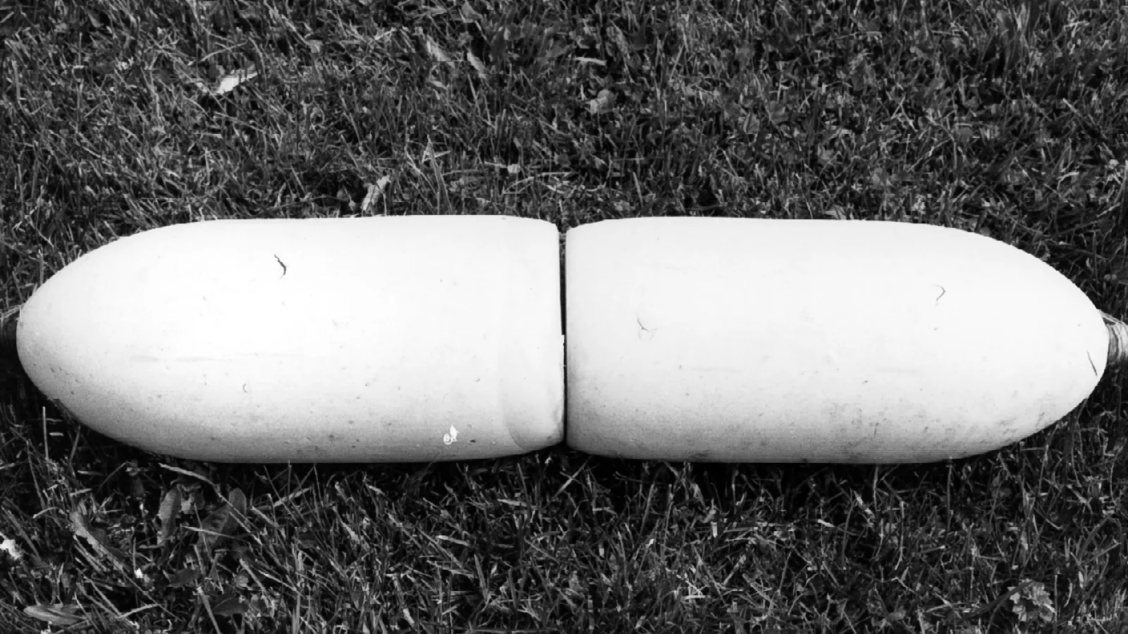 Detail--float on middle. Shot at Kishman Fish Co., Vermilion 1983.