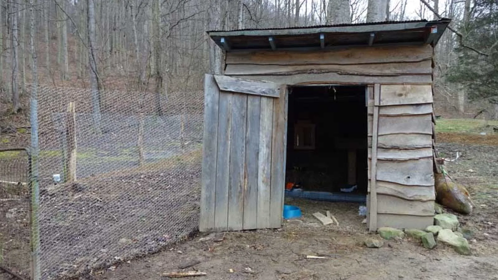 Chicken Coop on Emily Harper and Justin Carman’s land.