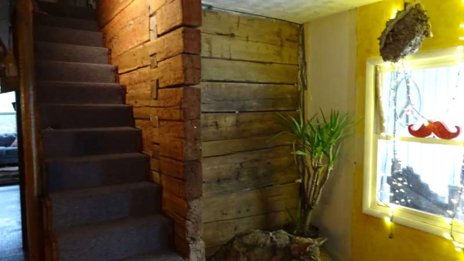 Cabin wall where Emily and Justin stripped away a closet to reveal the old structure.