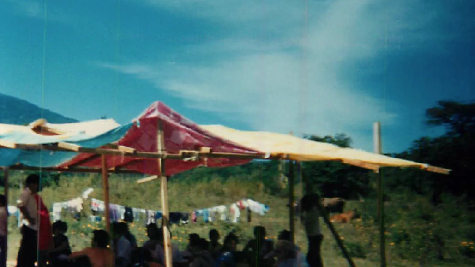 Rural Photograph 1