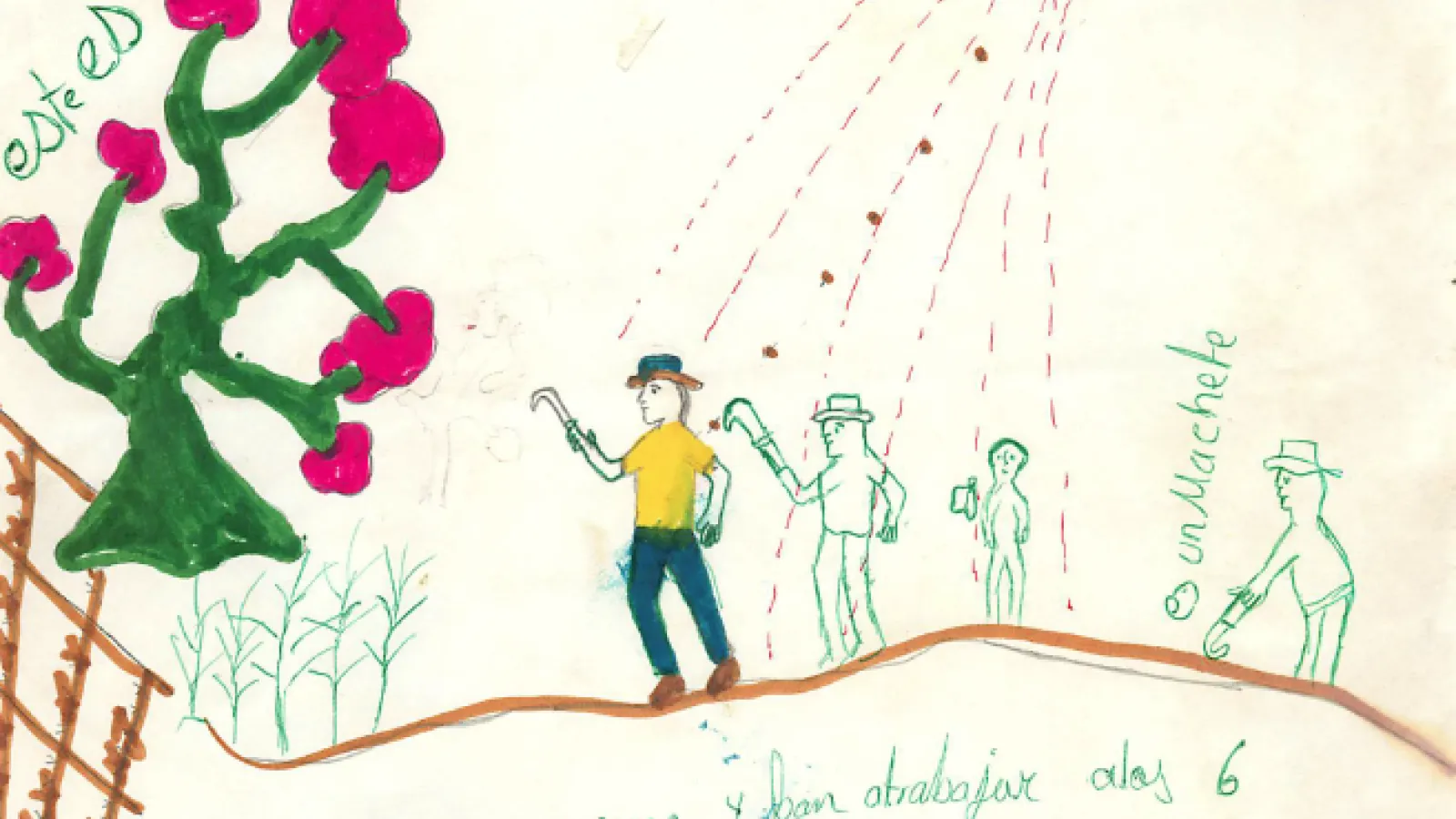 Copapayo Child's Drawing 4