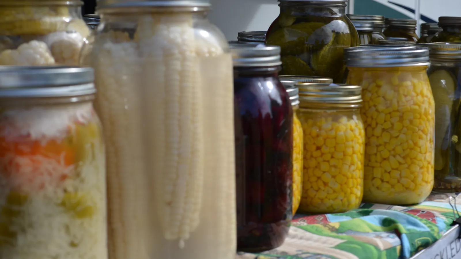 canned goods from Sorghum festival