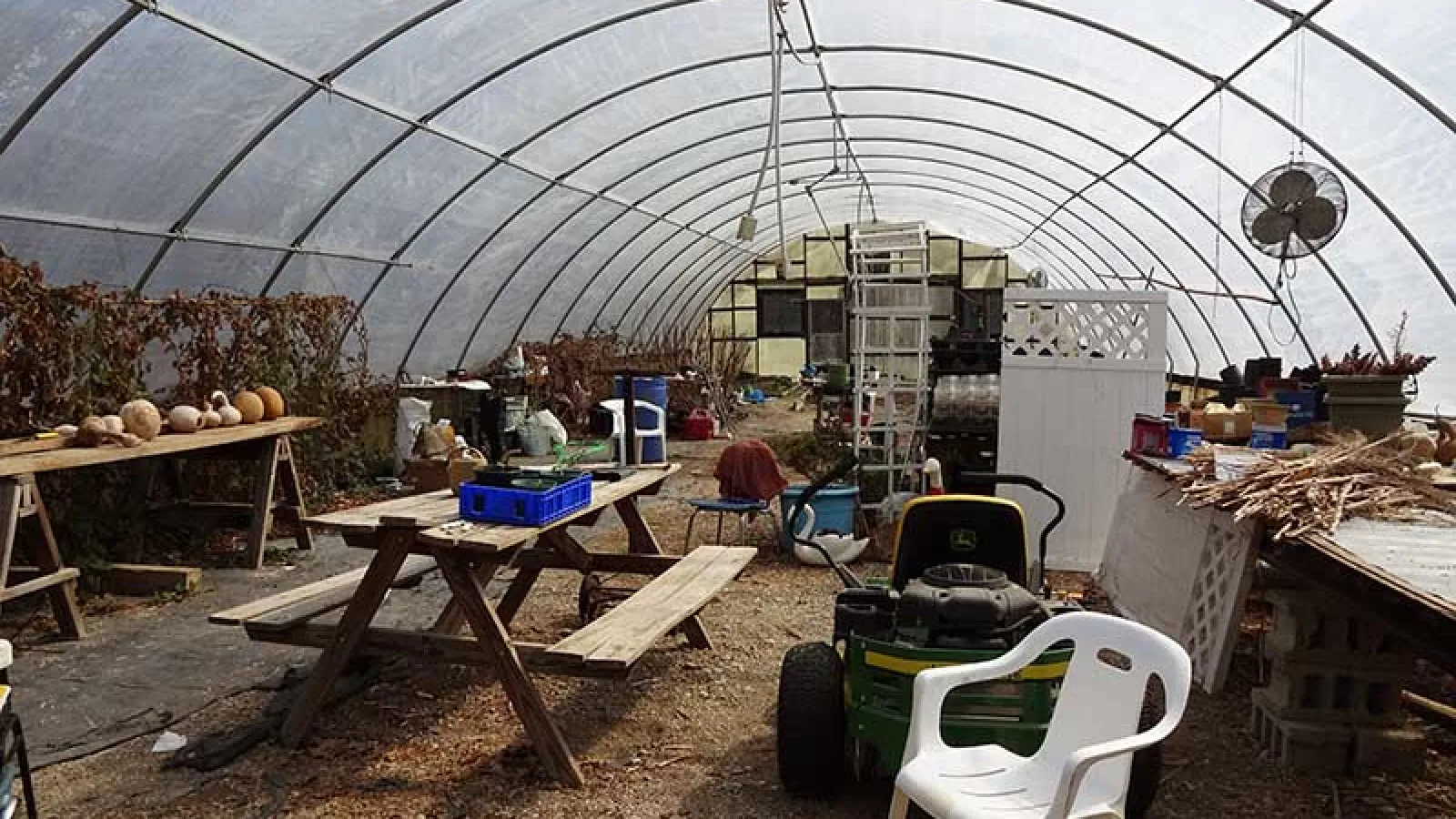 the millers greenhouse