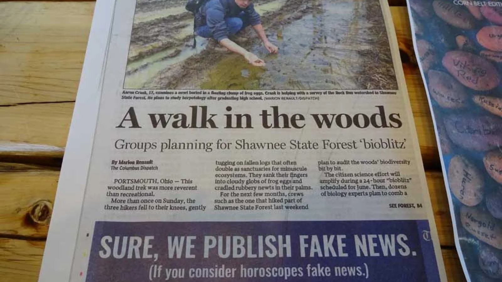 Bioblitz newspaper announcement 