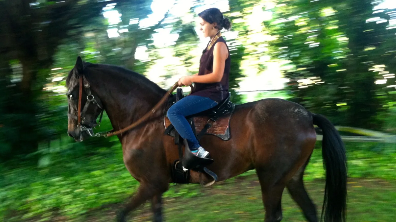 Horseriding in Puerto Rico