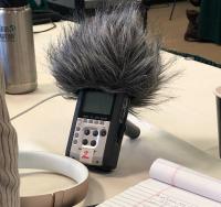 lovejoy's recorder for panel