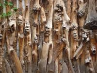 Knotted trees. Knotted Trees.
