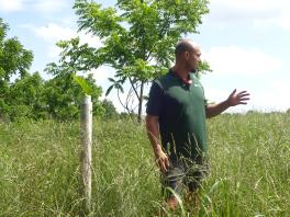 Badger Johnson showing his field of Chinese chestnut and pawpaw trees. 