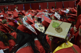 Mahalo, mom and dad. Grad cap with pineapple.