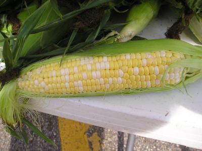 Roadside Stands in Portage and Summit Counties