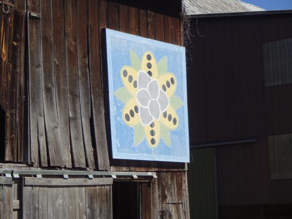 Pawpaw quilt art on a barn