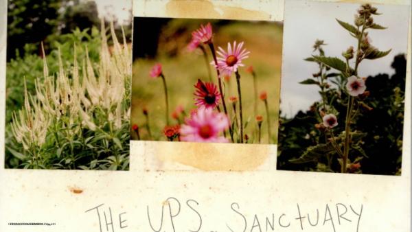 Pictures of UpS from the 2002 internship scrapbook