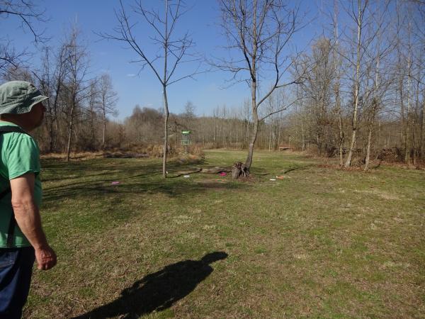 Chris Chmiel looking toward the disc golf backet and the players discs on the ground.