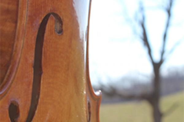 close-up of the side of a violin with a green hill and tree in the background