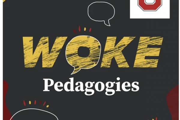 woke pedagogies logo