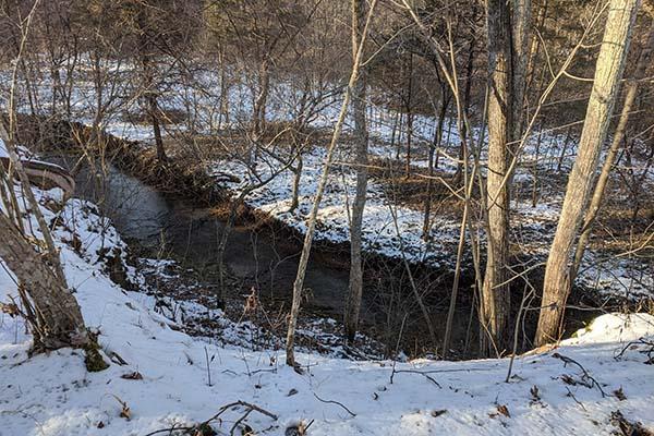 Chalet Nivalle Nature Preserve, stream bank in winter