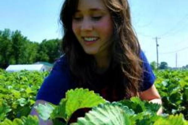 Elizabeth Bell walking in middle of farm field of leafy green plants