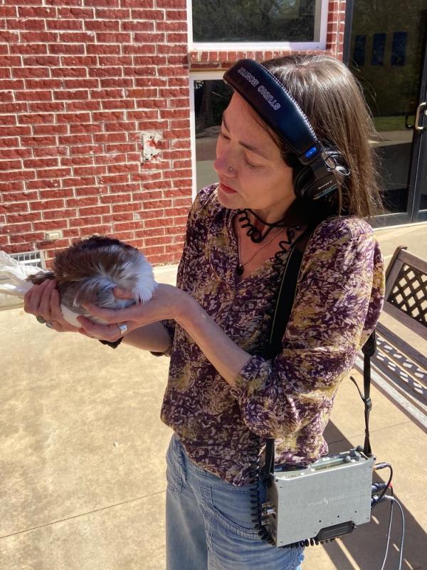 Rachel recording at the American Pigeon Museum in Oklahoma City.