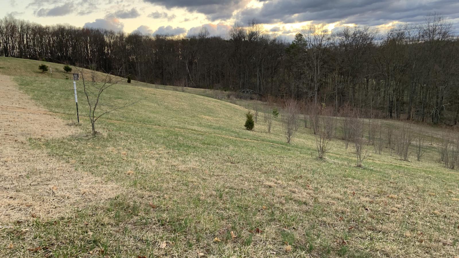 A stormy image of the hills present on Valerie Scott's property in Hocking County. The rolling hills are mostly open fields with scattered trees, and there is sunlight peaking out over the distant storm clouds. 