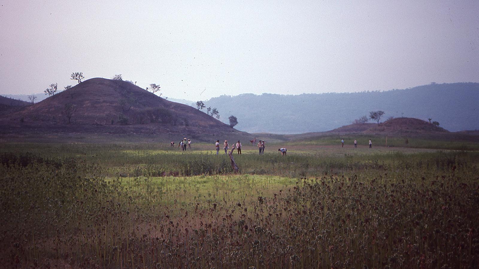 Fields near Copapayo