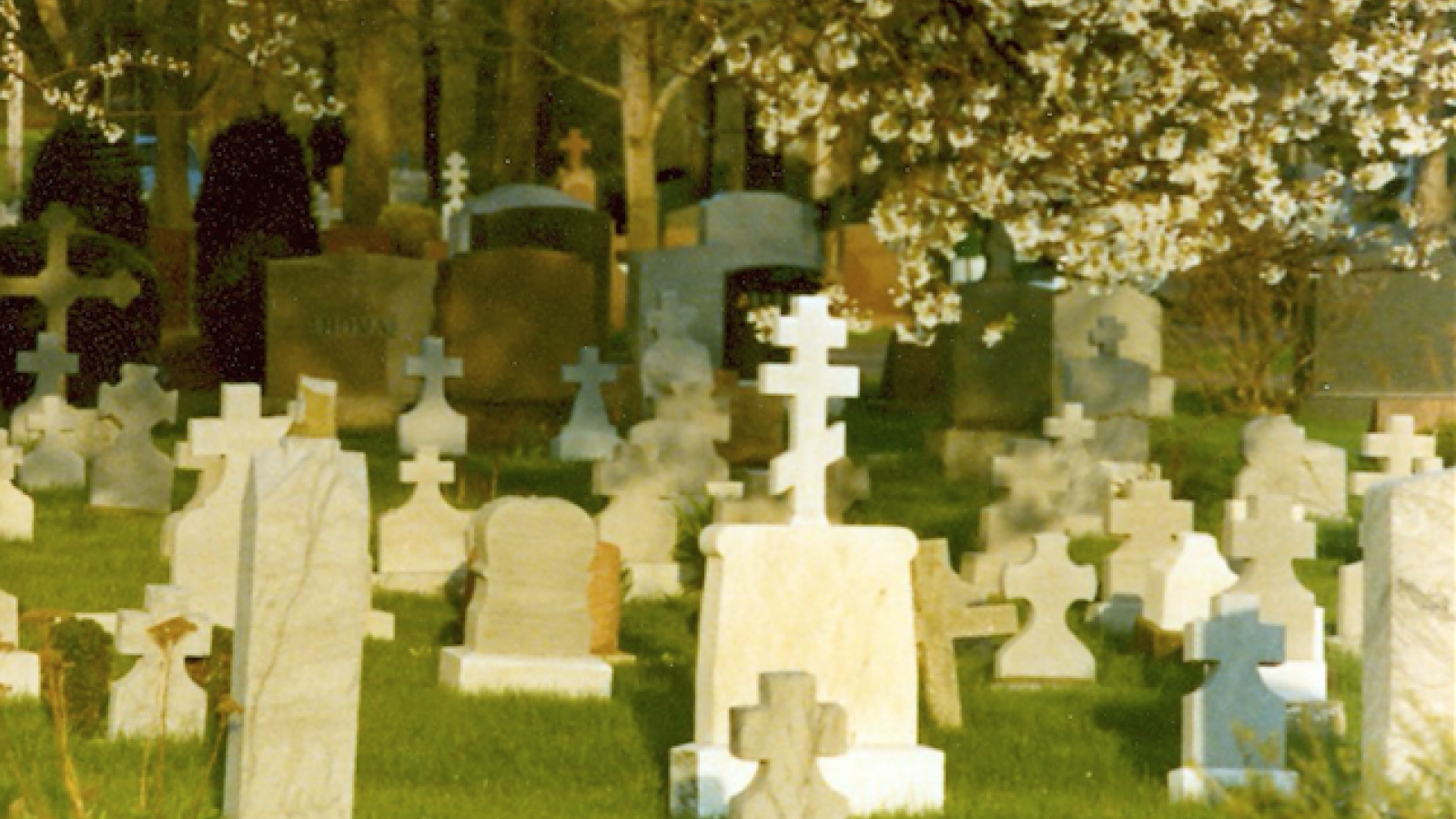 Tombstones at St. Theodosius Cemetery, 1979.