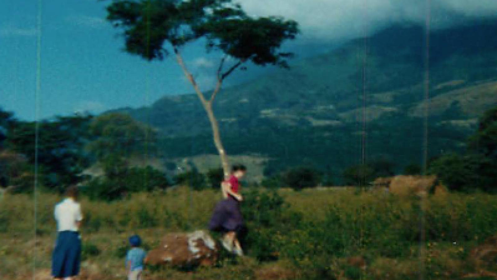 Rural Photograph 2