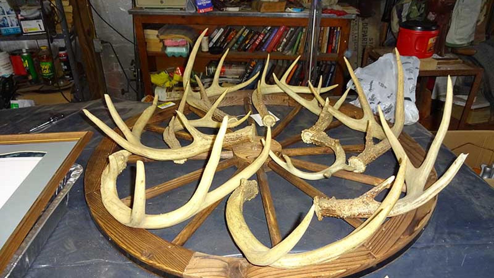 antler chandelier in the works