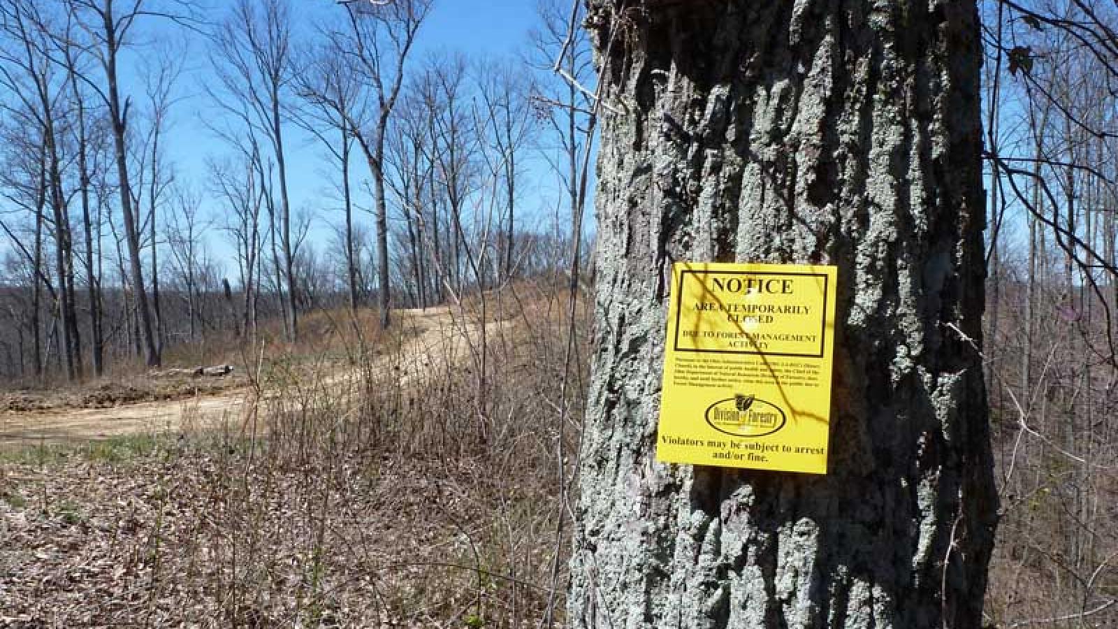 sign announcing forest management activity