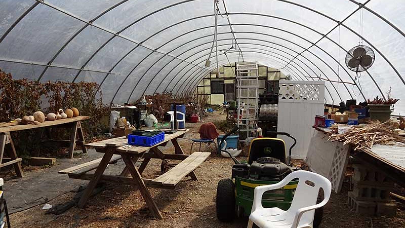 the millers greenhouse