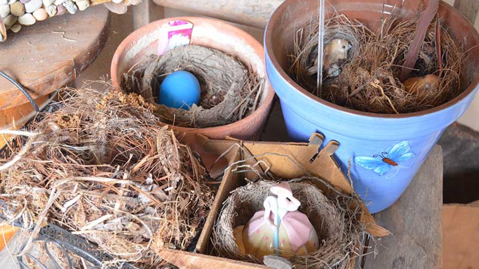 birds nests saved in pots