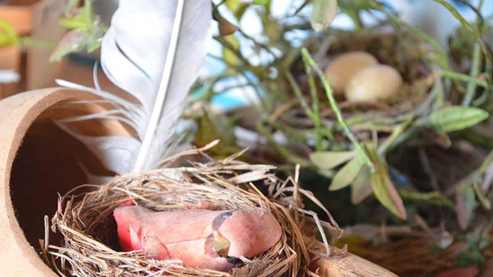 birds nest decoration with a doll bird in a shoe