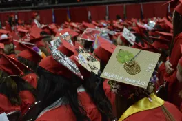 Mahalo, mom and dad. Grad cap with pineapple.
